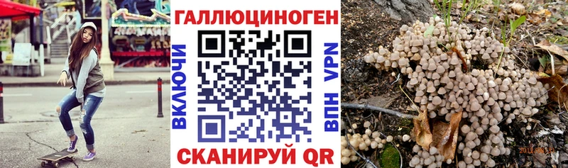 omg ТОР  Трубчевск  Псилоцибиновые грибы мухоморы  сколько стоит 