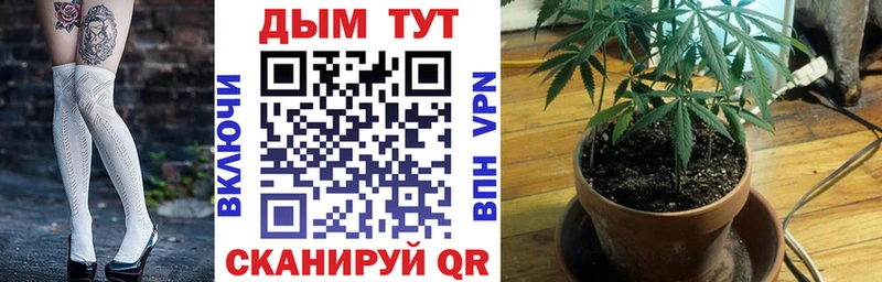 Канабис Amnesia  Трубчевск 